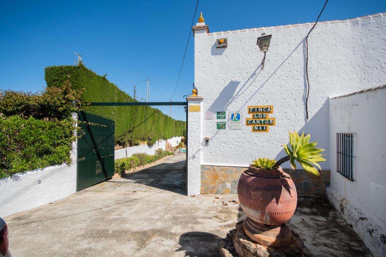 Tu Villa Rural Cortijo Los Cantos 7 Dormitorios Piscina Privada Alhaurín el Grande エクステリア 写真