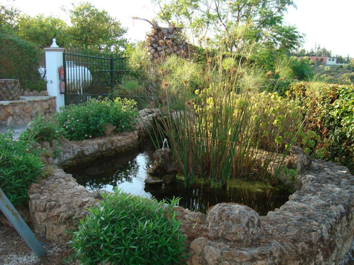 Tu Villa Rural Cortijo Los Cantos 7 Dormitorios Piscina Privada Alhaurín el Grande エクステリア 写真